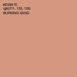 #D3997E - Burning Sand Color Image